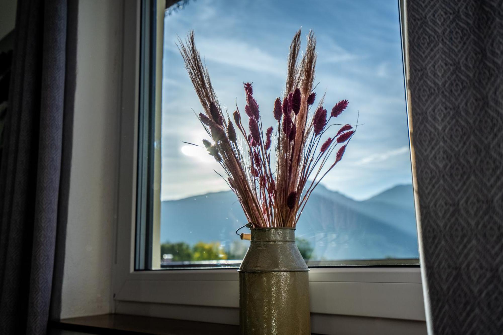 Tiroler Alpblick Appartements Ehrwald Ngoại thất bức ảnh